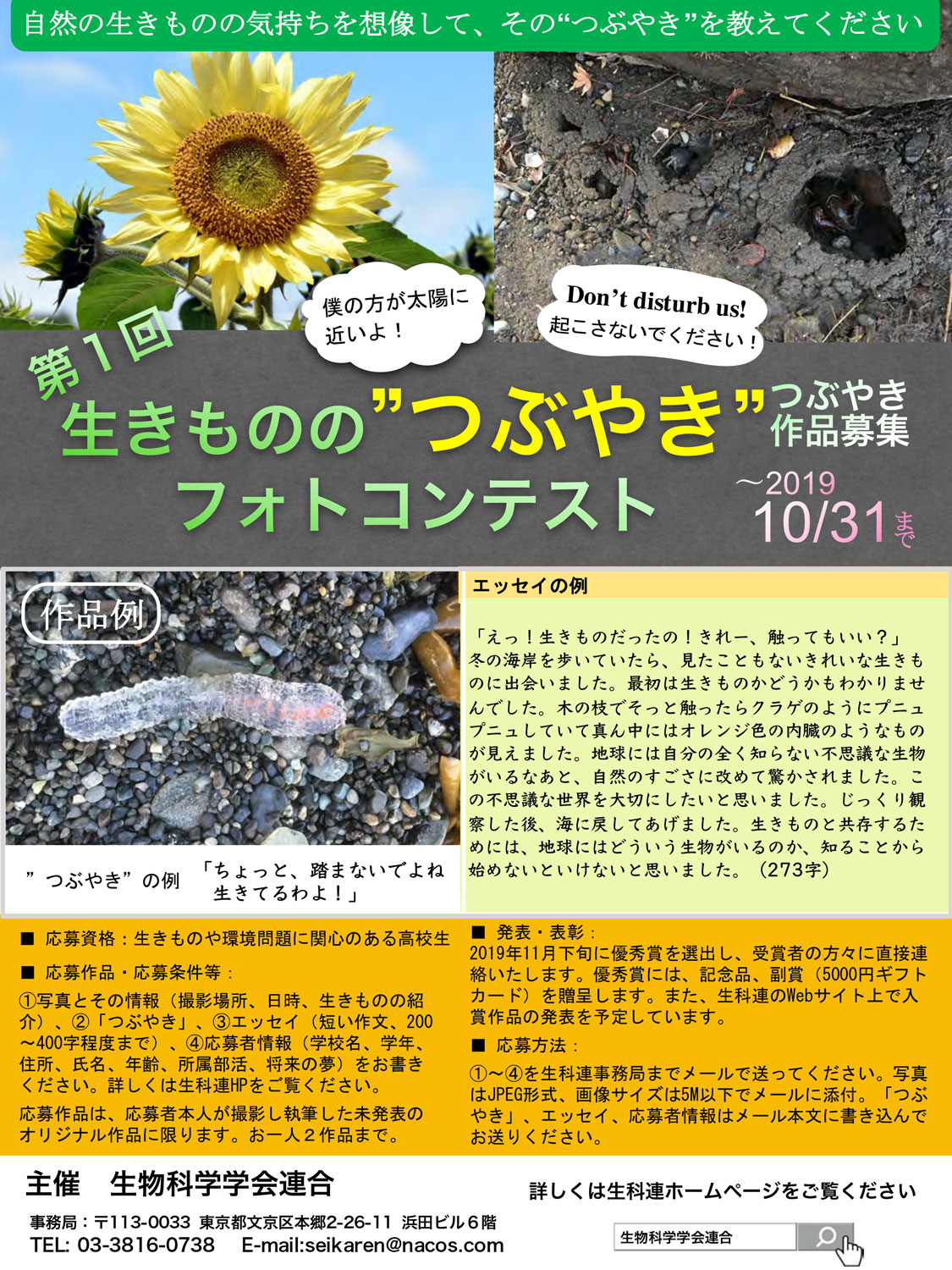 ポスター