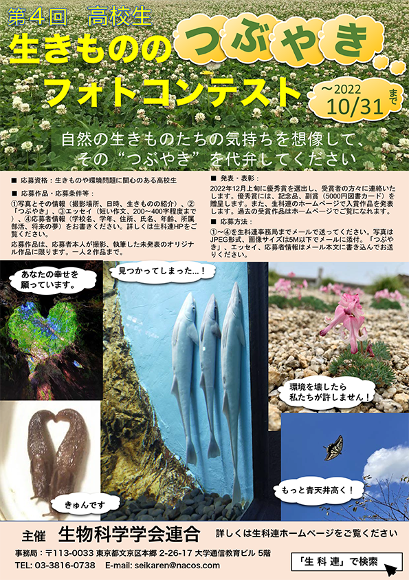 ポスター