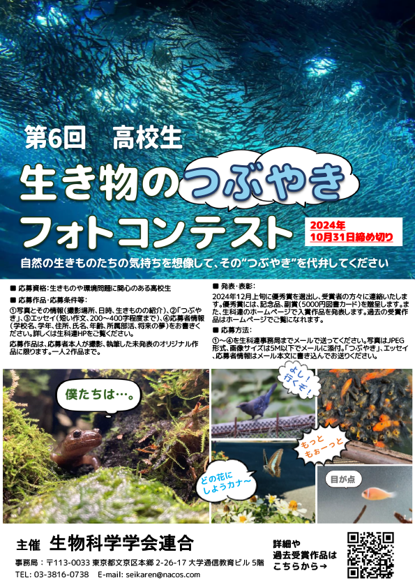 ポスター